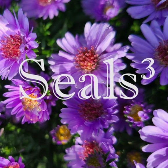 Meet your Posher, Seals³ - Picture 1 of 1